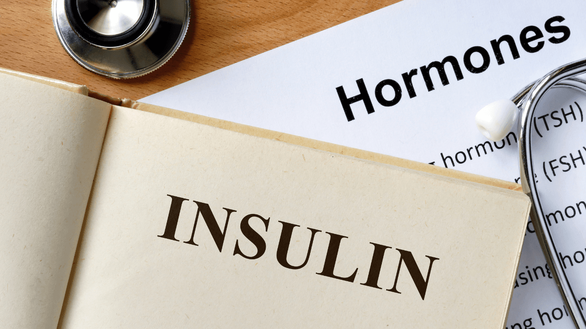 Insulin Synthesis