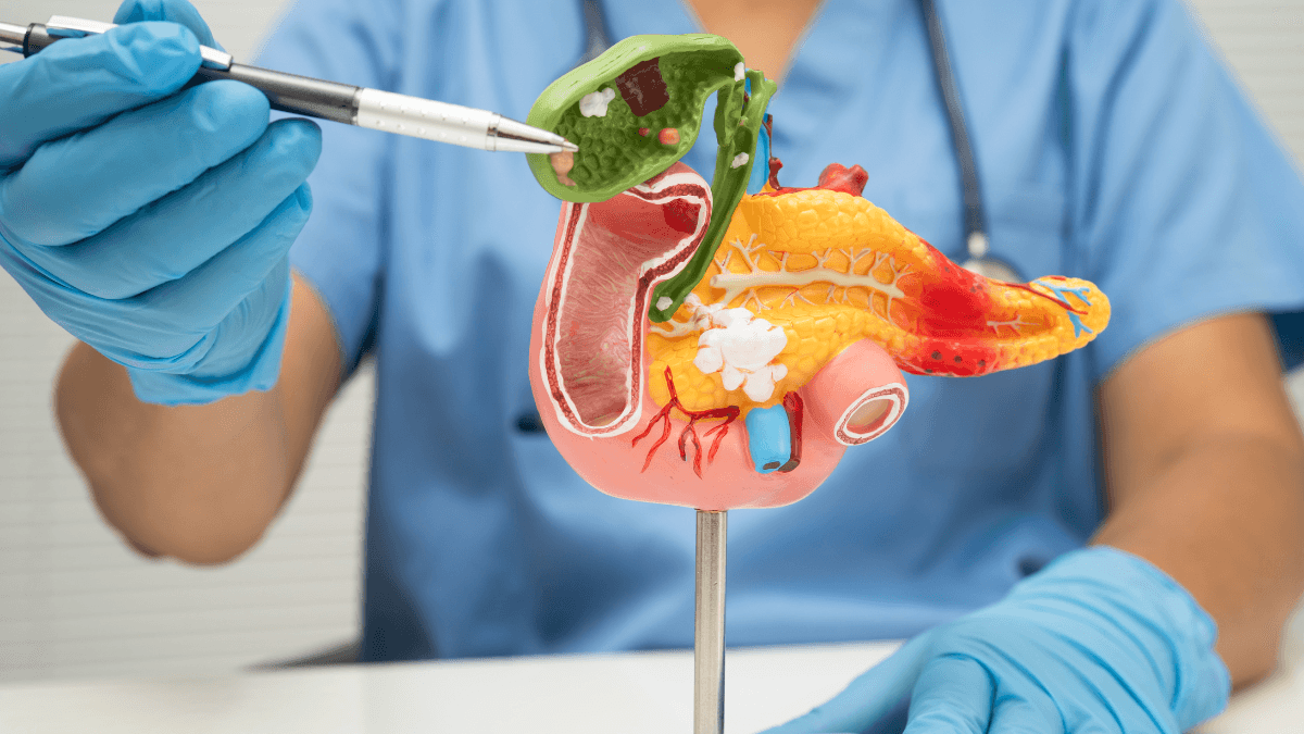 Insulin Secretagogues