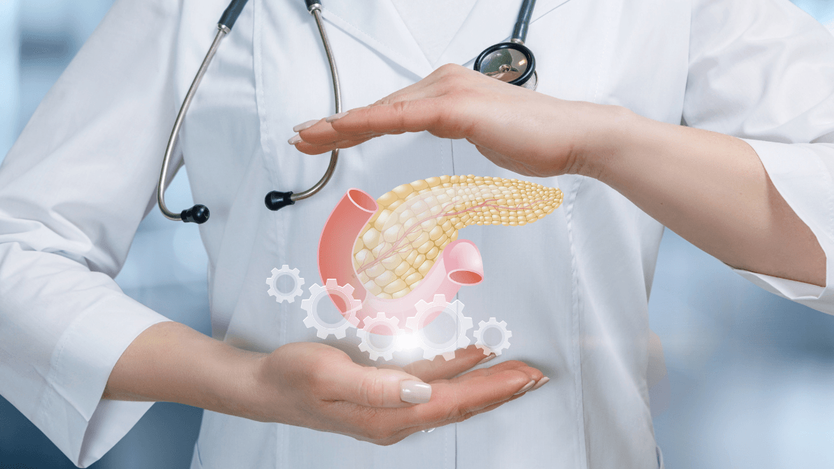 Insulin Function in the Body