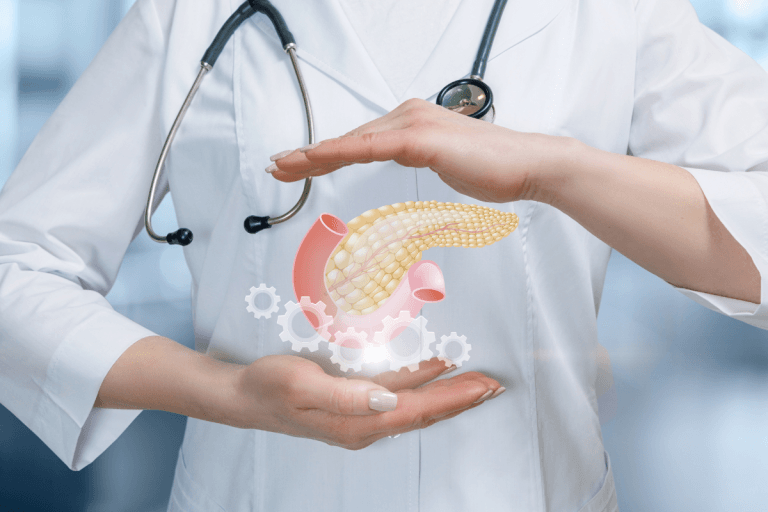 Insulin Function in the Body