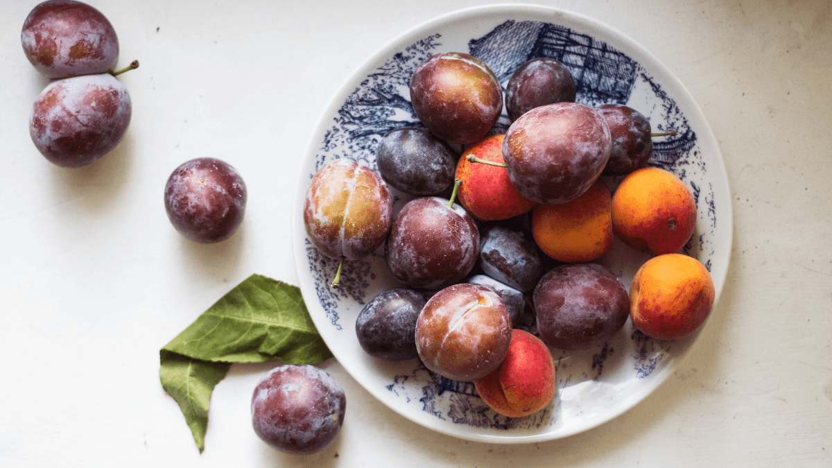 Plums and Diabetes