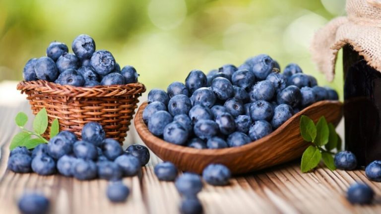 Are Blueberries Good for Diabetics? Portions and Timing