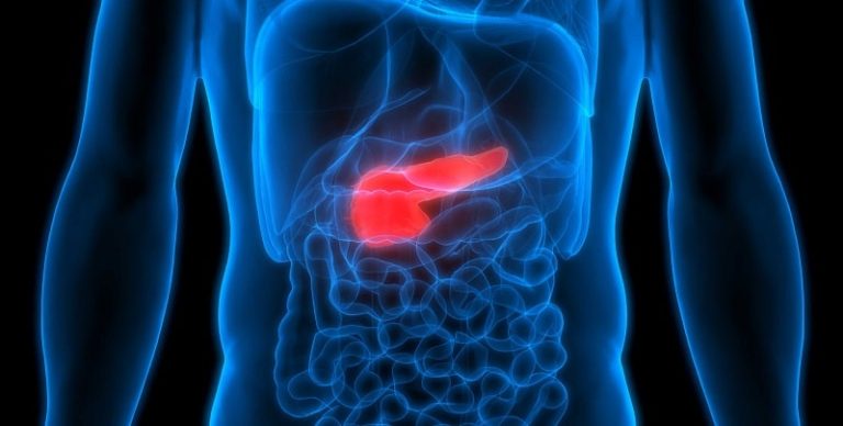 Pancreas and Diabetes: Hormones, Symptoms, and Type 3c Risks