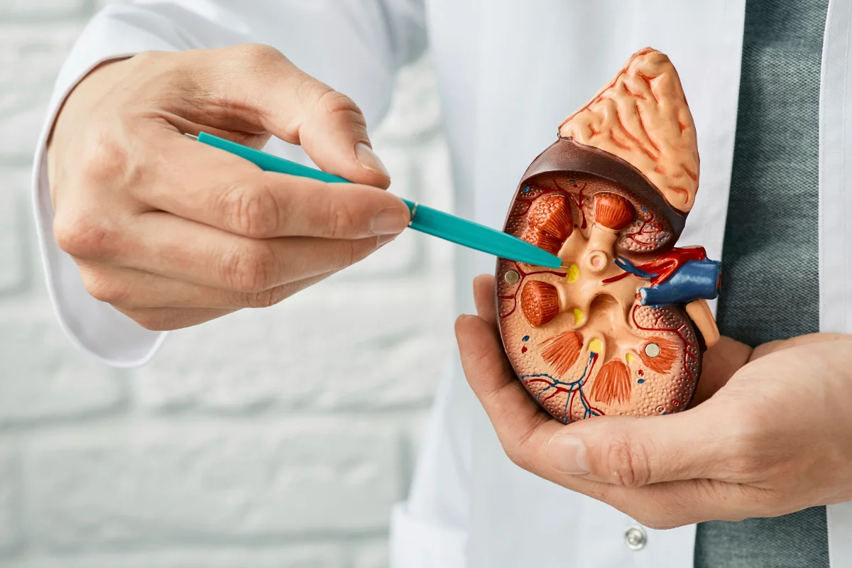 wegovy and kidneys