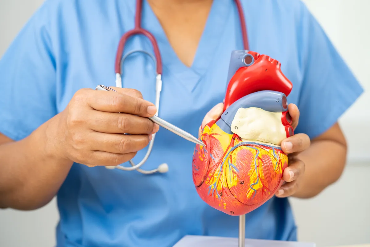 Efectos cardioprotectores de la metformina