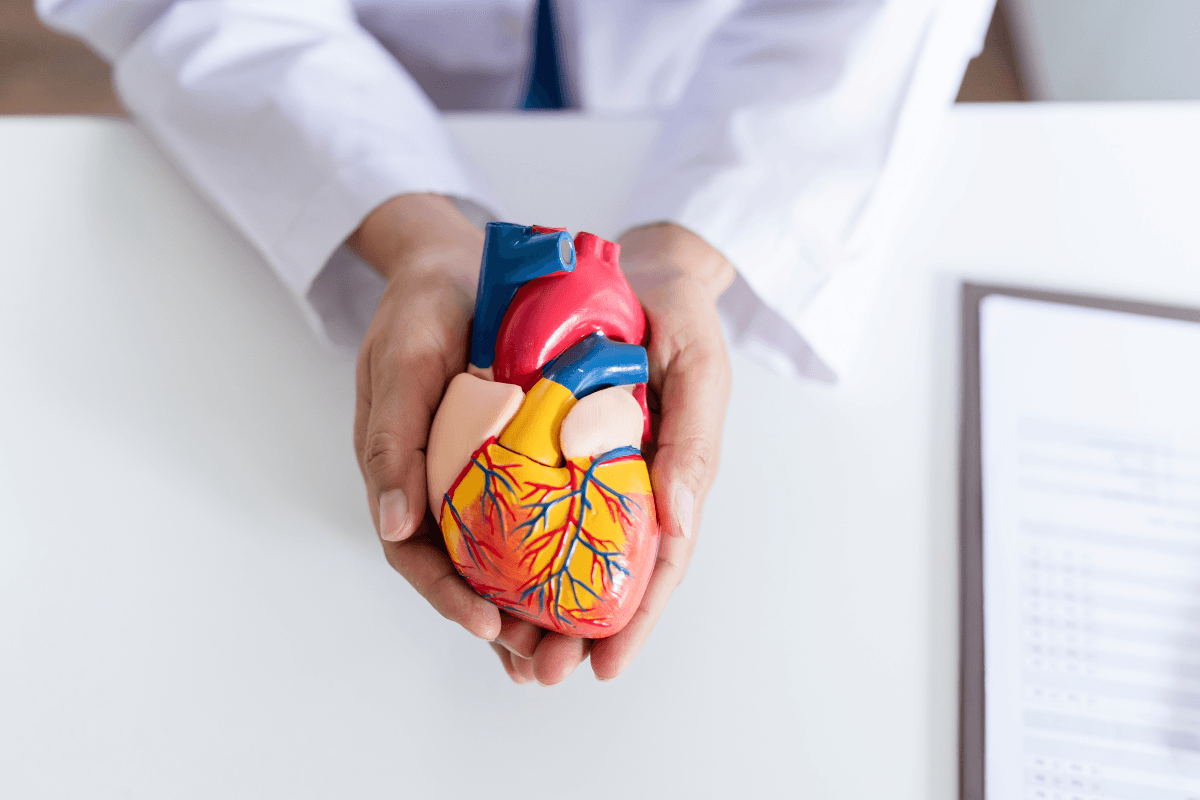 Metformin in Combating Heart Valve Calcification