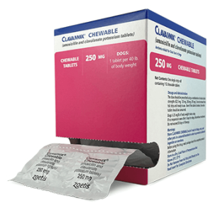 How Much Sugar Can a Diabetic Have? 21 Clavamox