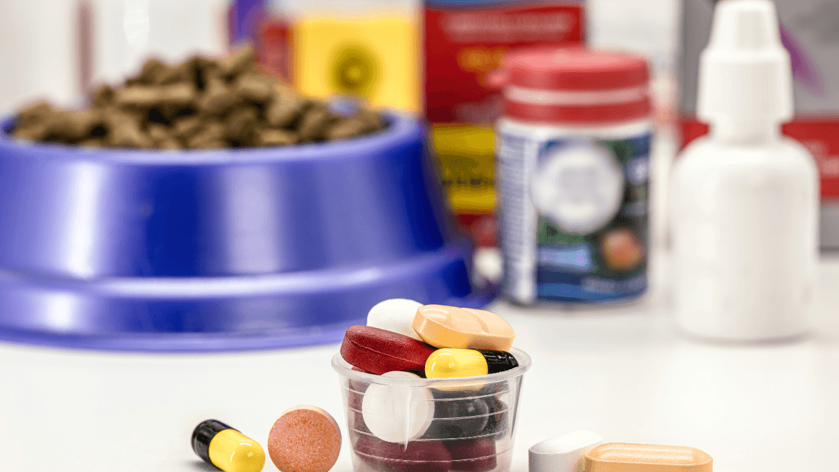 Pet Antibiotics