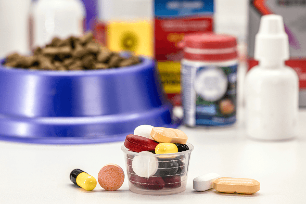 Antibióticos para mascotas