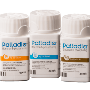 How Much Sugar Can a Diabetic Have? 19 Palladia