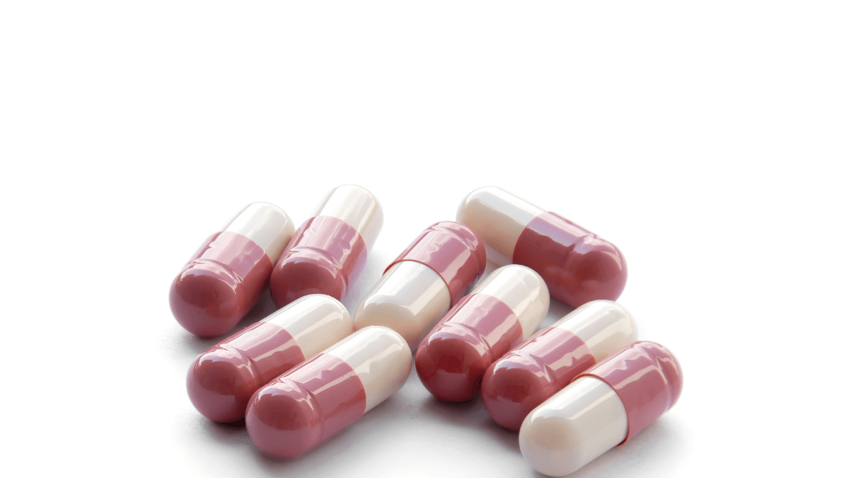 Cephalexin for Dogs