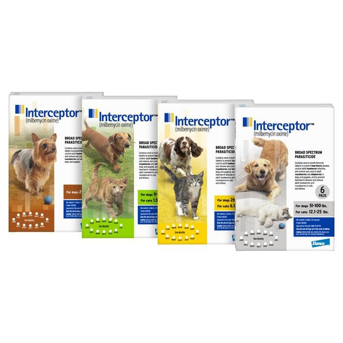 Interceptor Flavour Tabs Gatos/Perros 1 Interceptor Flavour Tabs Gatos/Perros