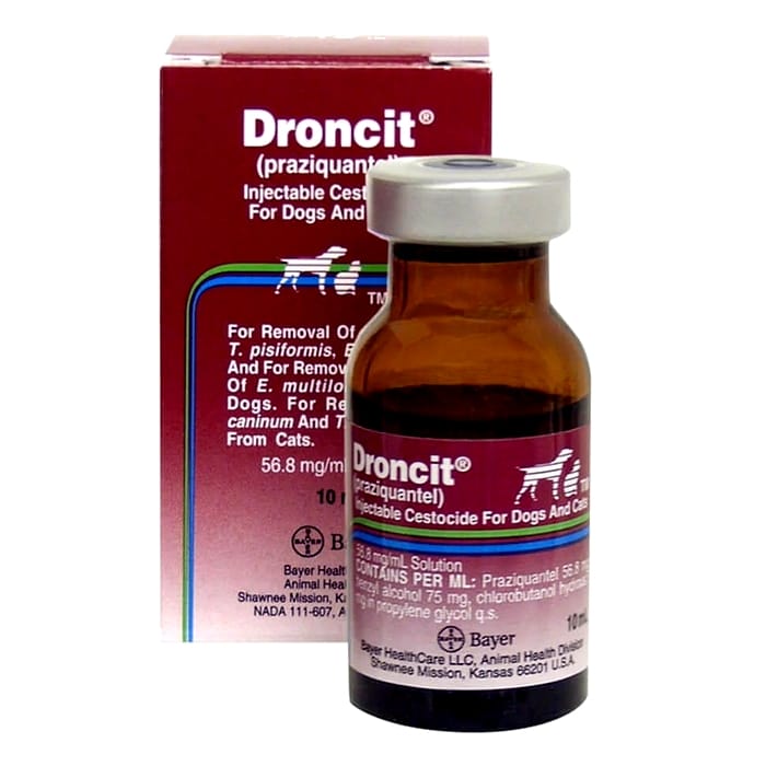 Droncit 1 Droncit