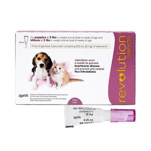 Revolution for Puppies/Kittens